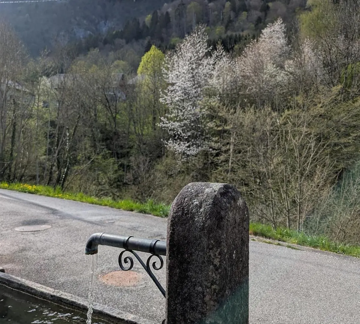 Apartamento Le Gite De Saury Lathuile